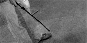 Pre spray enzyme treatment