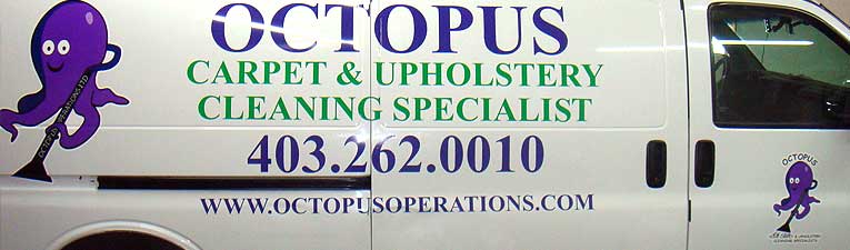 Vinyl graphics on side of van